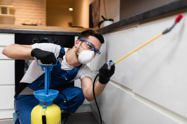 Best Flea Control Services  in Port Aransas, TX