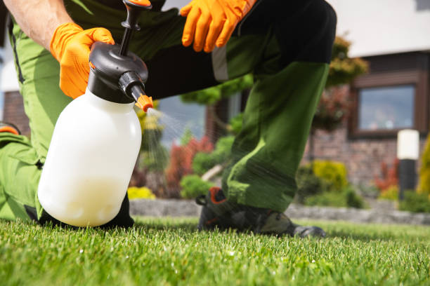 Best Emergency Pest Control  in Port Aransas, TX