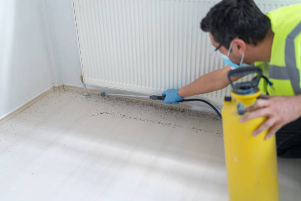 Best Best Pest Control Companies  in Port Aransas, TX